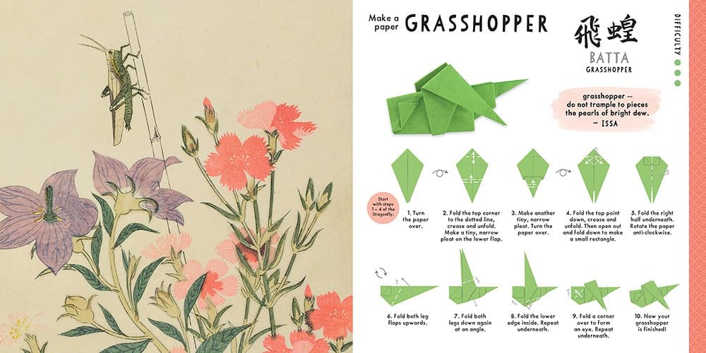 Japanese painting of grasshopper in flowers, with origami grasshopper and grasshopper haiku