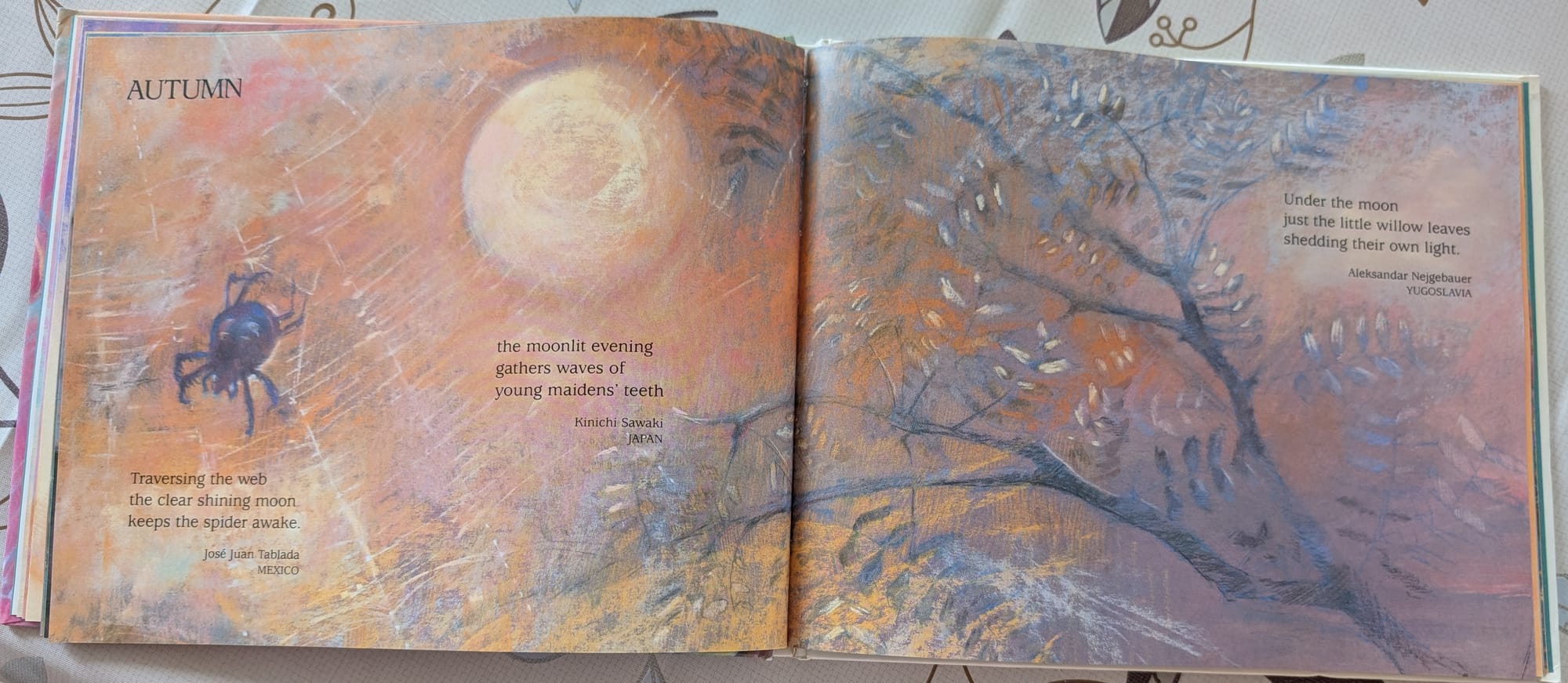 Autumn haiku poems showing a spider and tree branches with a full moon in the sky